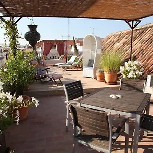 Guest house Casa Beleza Do Sul, Tavira